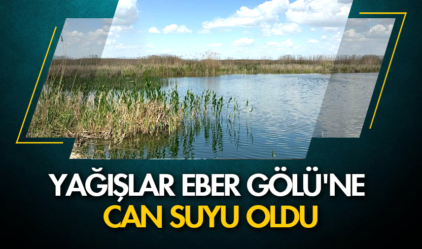 Yağışlar Eber Gölü'ne can suyu oldu